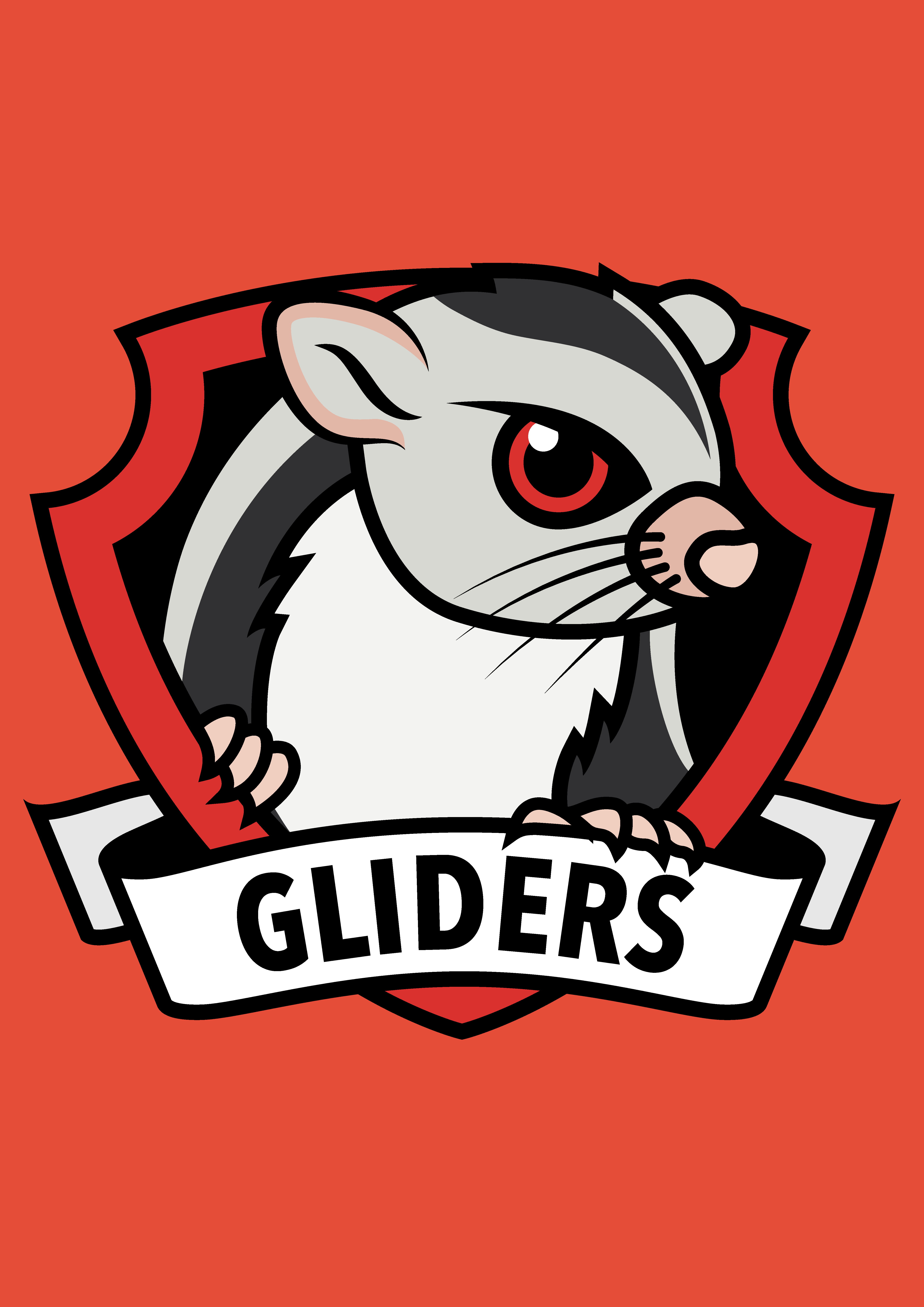 Gliders